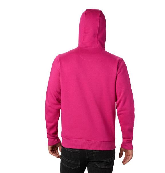 Columbia South Lake Hoodies Pink For Men's NZ6491 New Zealand